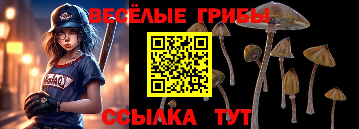 Галлюциногенные грибы мицелий Ирбит